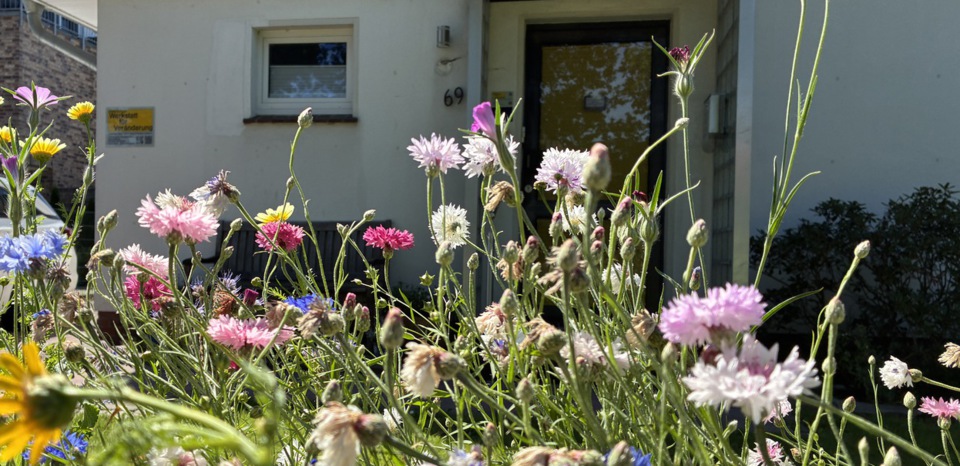 Der Eingang der Praxis im Sommer